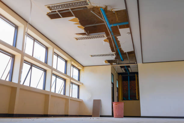 Best Local water damage restoration  in Shil, OH