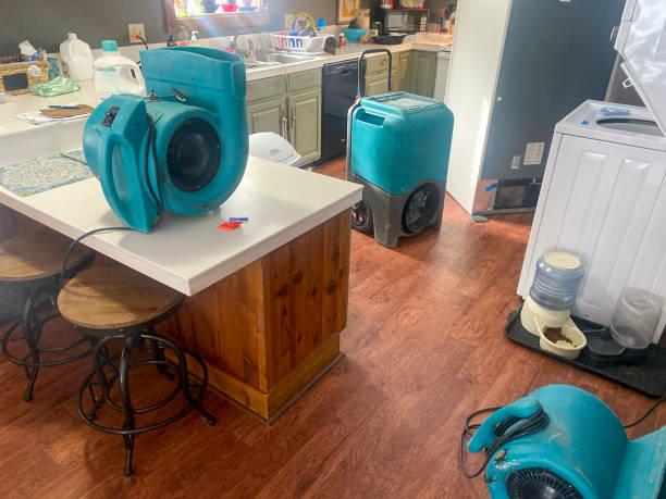 Best Professional water damage repair  in Shil, OH