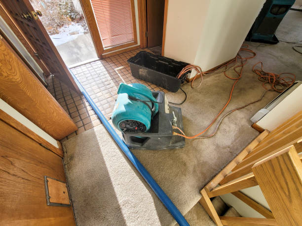 Water damage restoration mold remediation in Shiloh, OH