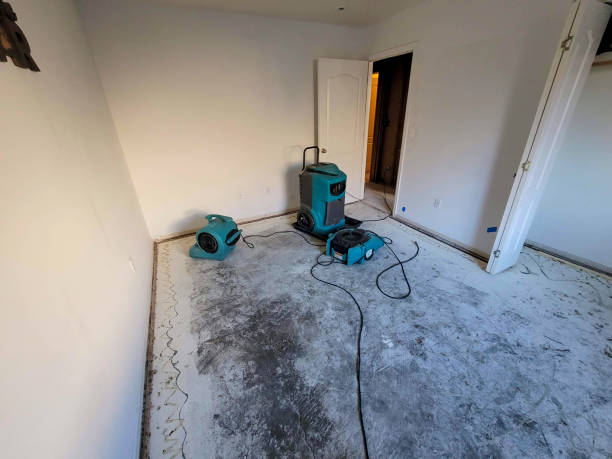 24/7 water damage repair in Shiloh, OH
