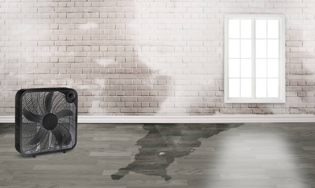 Best Flood restoration services  in Shil, OH