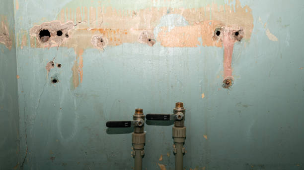 Best Sewage cleanup and water damage restoration  in Shil, OH
