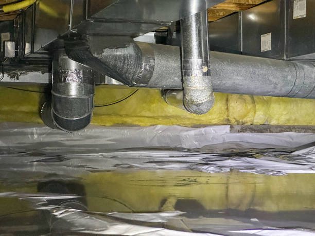 Best Water damage cleanup near me  in Shil, OH